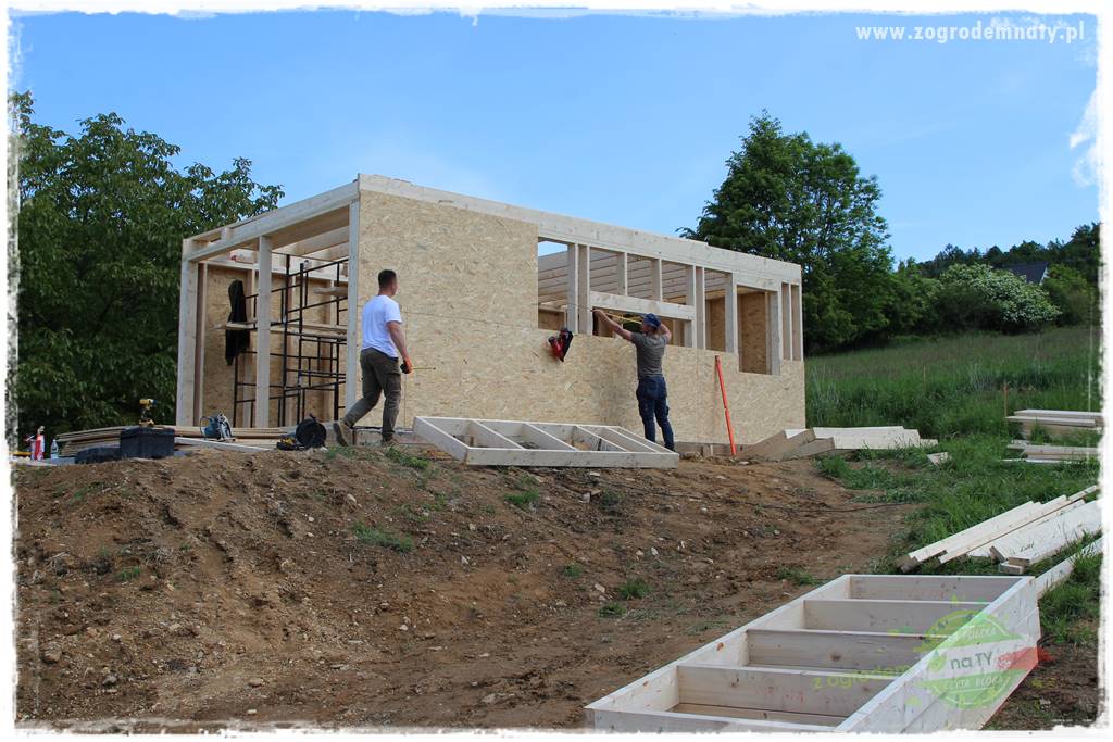 budowa szkieletów budynków 13 budowa szkieletów budynków 13