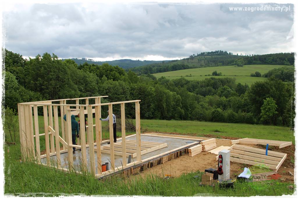 budowa szkieletów budynków 5 budowa szkieletów budynków 5