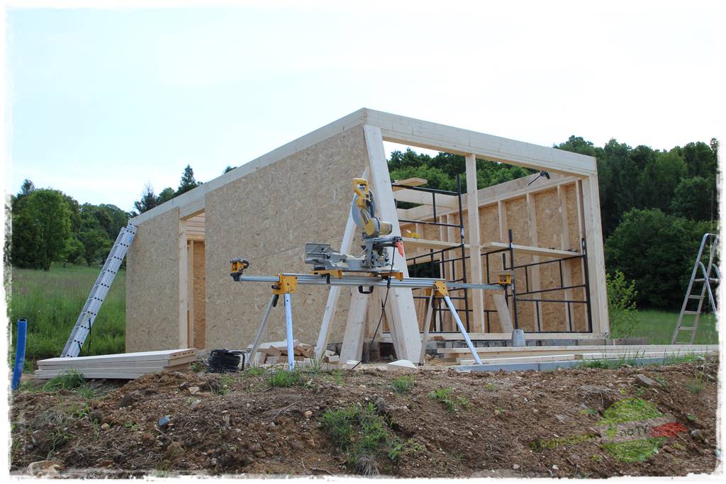 budowa szkieletów budynków 6 budowa szkieletów budynków 6