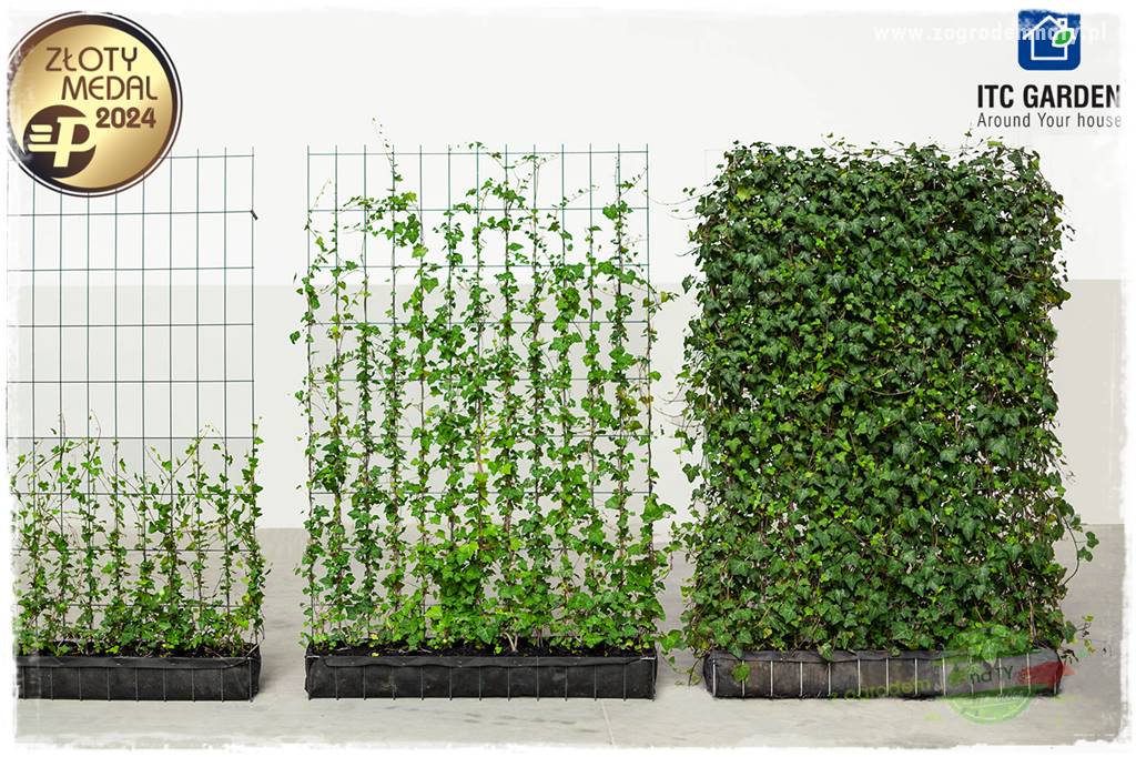 miejsce na śmietnik w ogrodzie 10 miejsce na śmietnik w ogrodzie 10