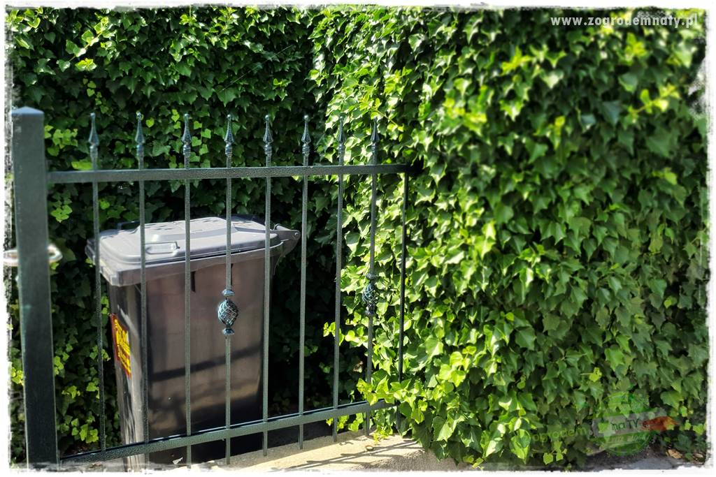 miejsce na śmietnik w ogrodzie 11 miejsce na śmietnik w ogrodzie 11