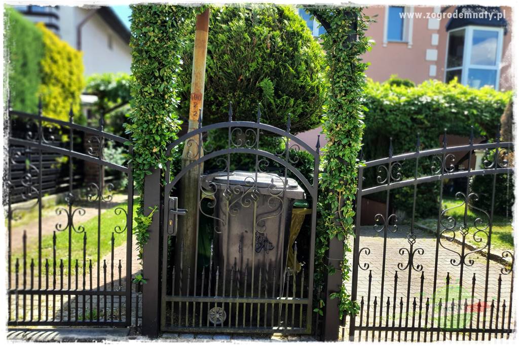 miejsce na śmietnik w ogrodzie 2