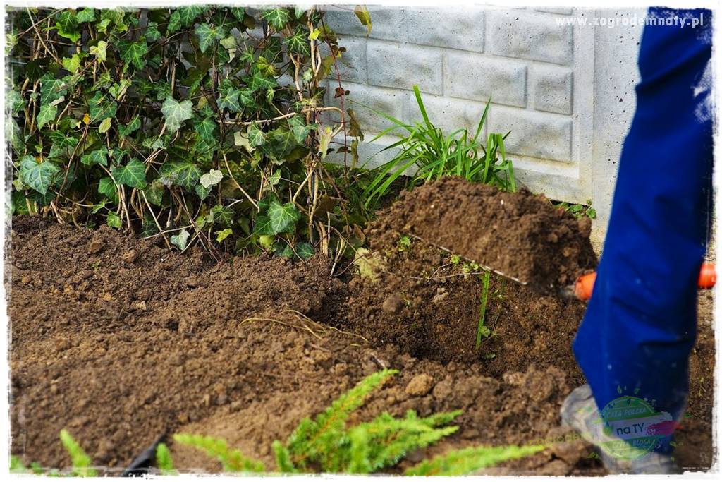 miejsce na śmietnik w ogrodzie 20