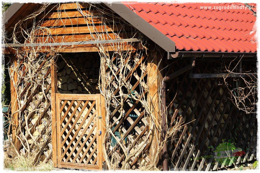 miejsce na śmietnik w ogrodzie 6 miejsce na śmietnik w ogrodzie 6