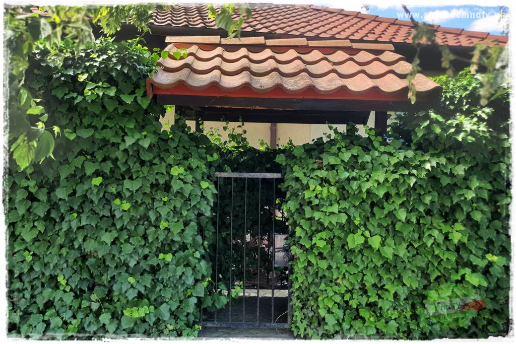 miejsce na śmietnik w ogrodzie 8 miejsce na śmietnik w ogrodzie 8