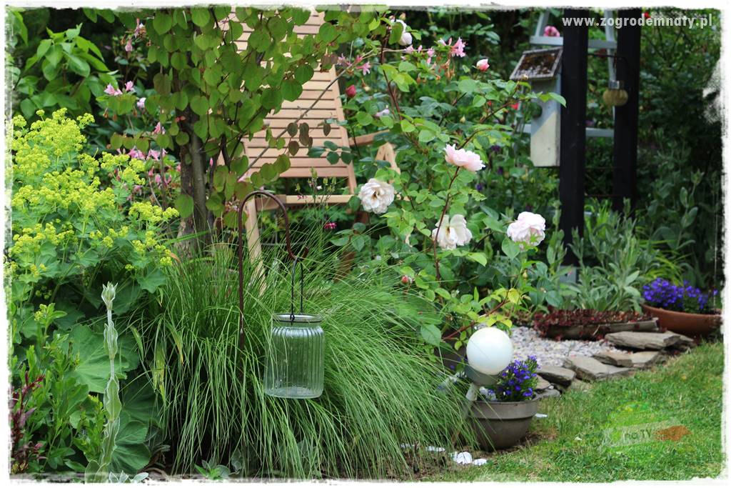 ogród w stylu retro 18 ogród w stylu retro 18