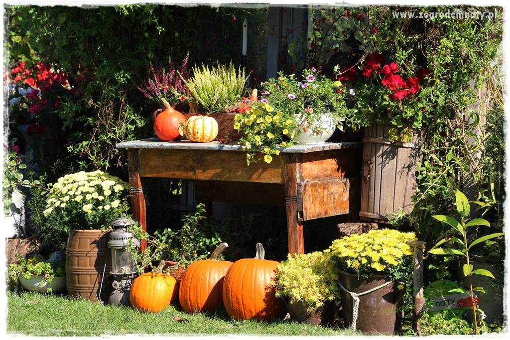 ogród w stylu retro 24 ogród w stylu retro 24