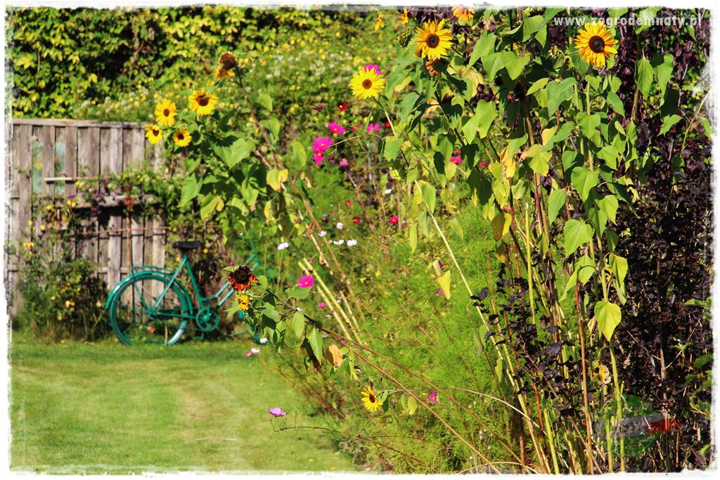 ogród w stylu retro 32 ogród w stylu retro 32