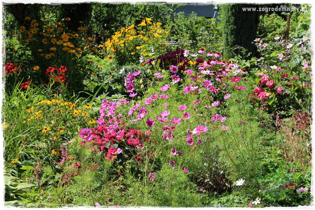 ogród w stylu retro 35 ogród w stylu retro 35