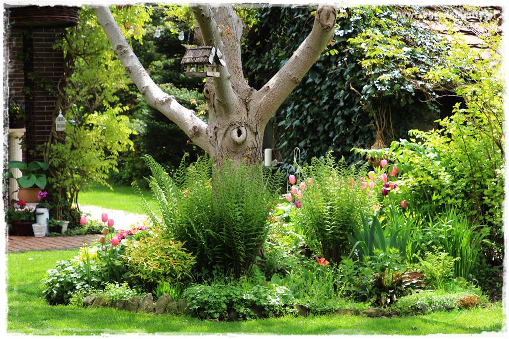 ogród w stylu retro 36 ogród w stylu retro 36