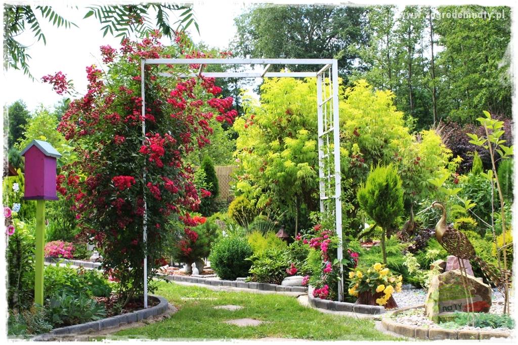 ogród w stylu retro 38 ogród w stylu retro 38