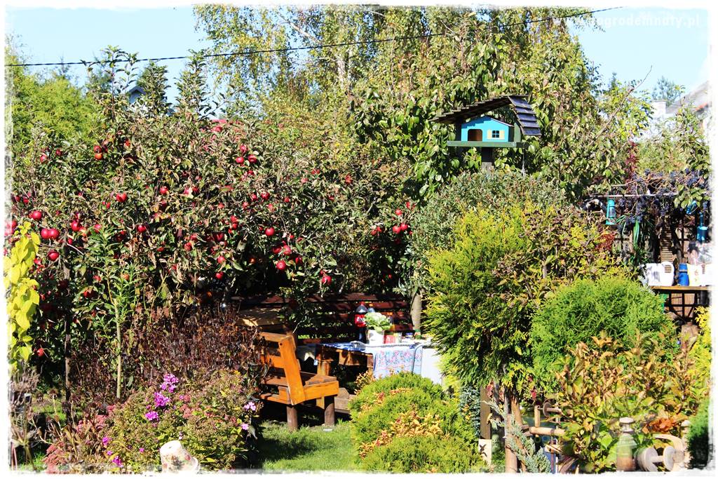 ogród w stylu retro 41 ogród w stylu retro 41