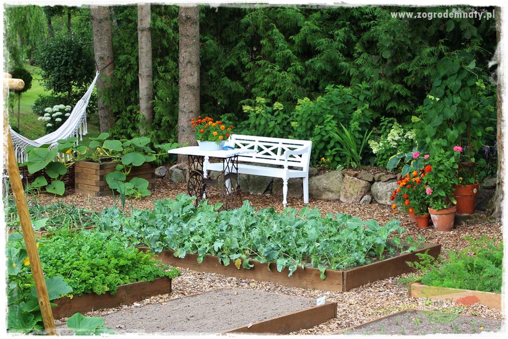 ogród w stylu retro 43 ogród w stylu retro 43