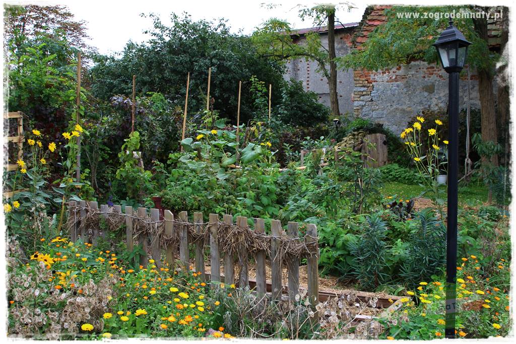 ogród w stylu retro 48 ogród w stylu retro 48