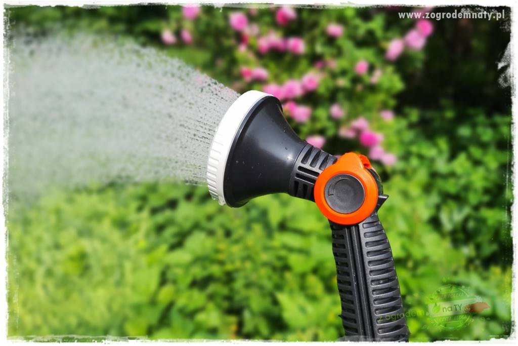 ogród w stylu retro 63 ogród w stylu retro 63