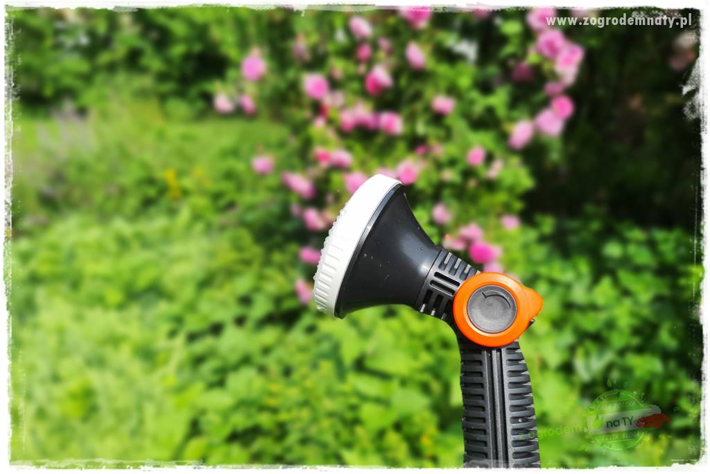 ogród w stylu retro 66