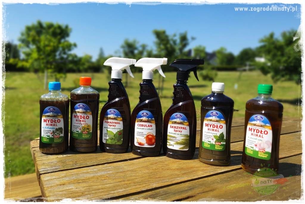 pożyteczne owady 33