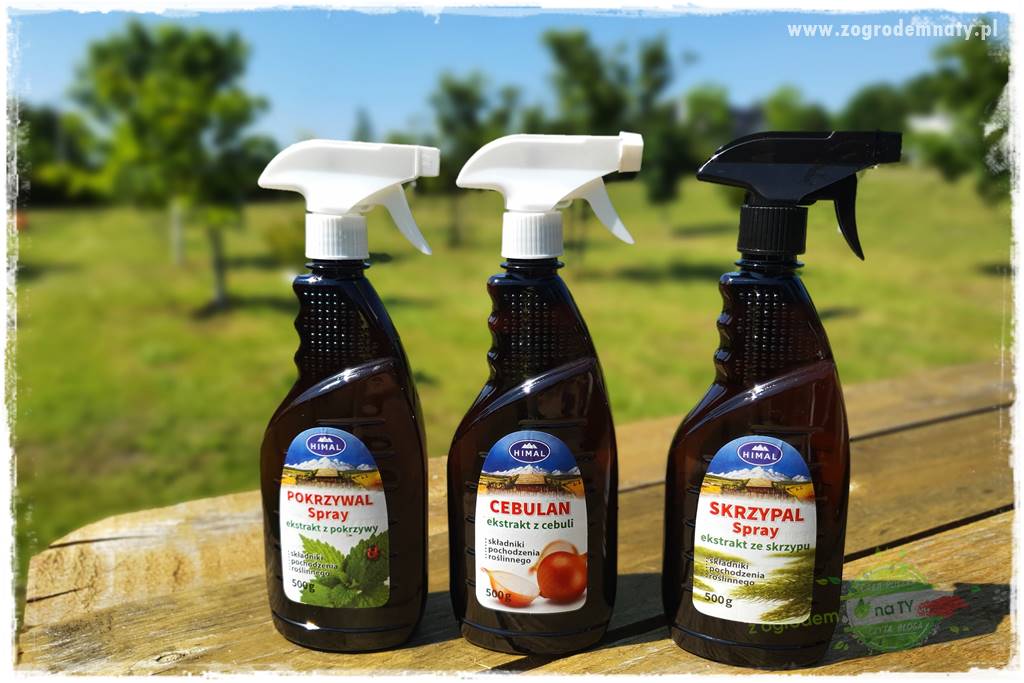 pożyteczne owady 34 pożyteczne owady 34