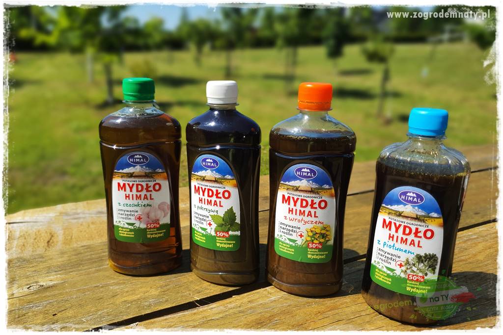 pożyteczne owady 38 pożyteczne owady 38