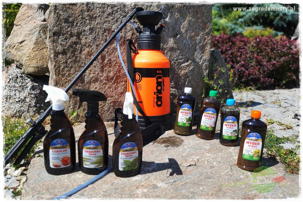 pożyteczne owady 40