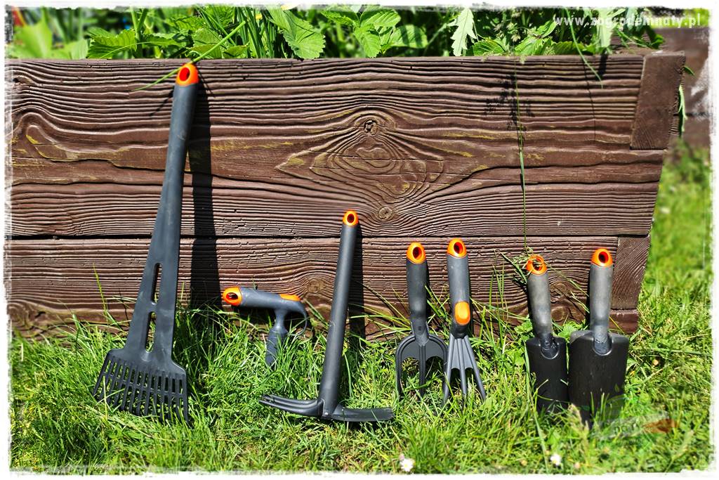 sadzenie rozsady kwiatów 27 sadzenie rozsady kwiatów 27