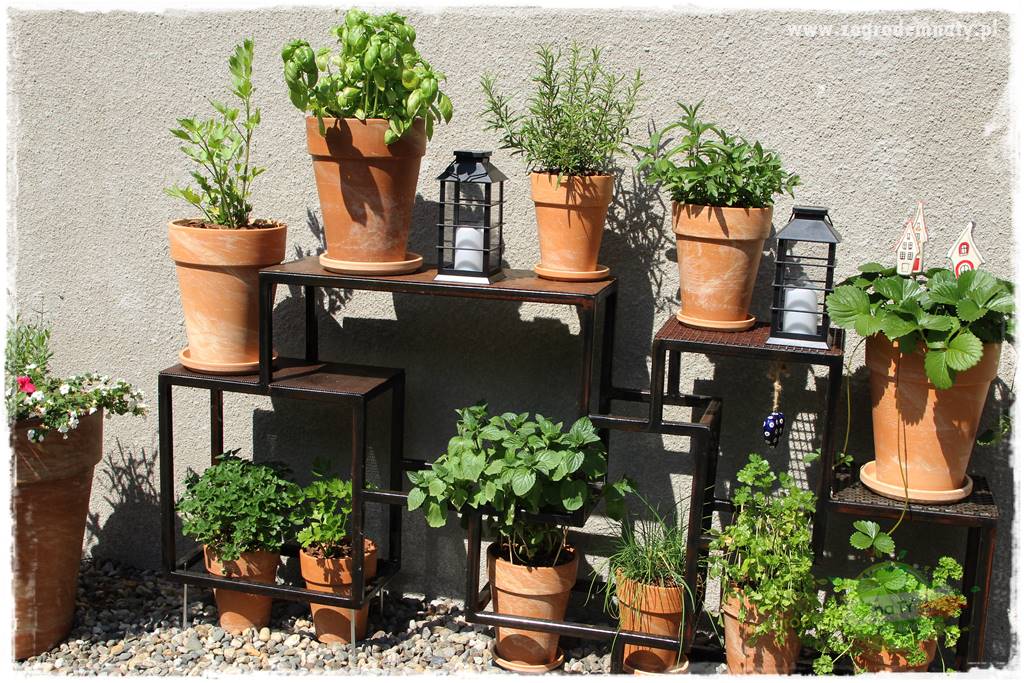 sposób na komary 13