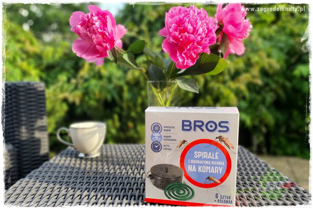 sposób na komary 16 sposób na komary 16