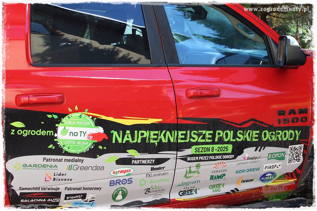 Ogród pod Aniołami 39a