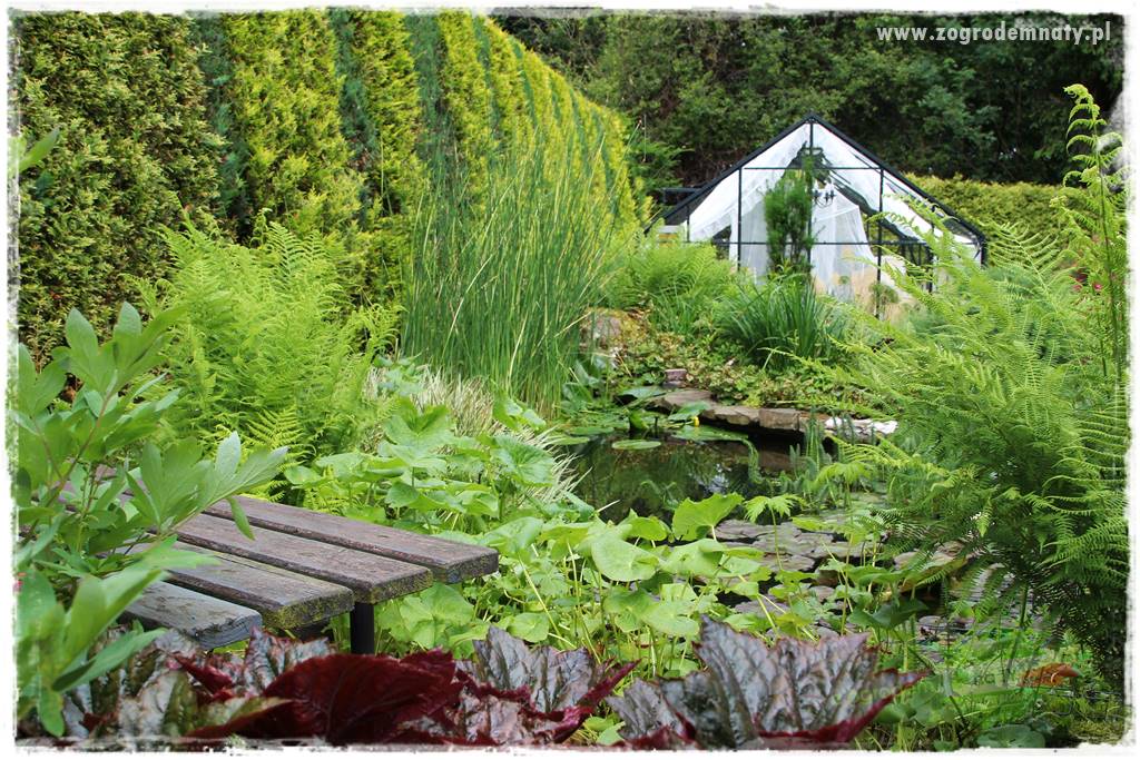 Ogrodowe studio fotograficzne 1