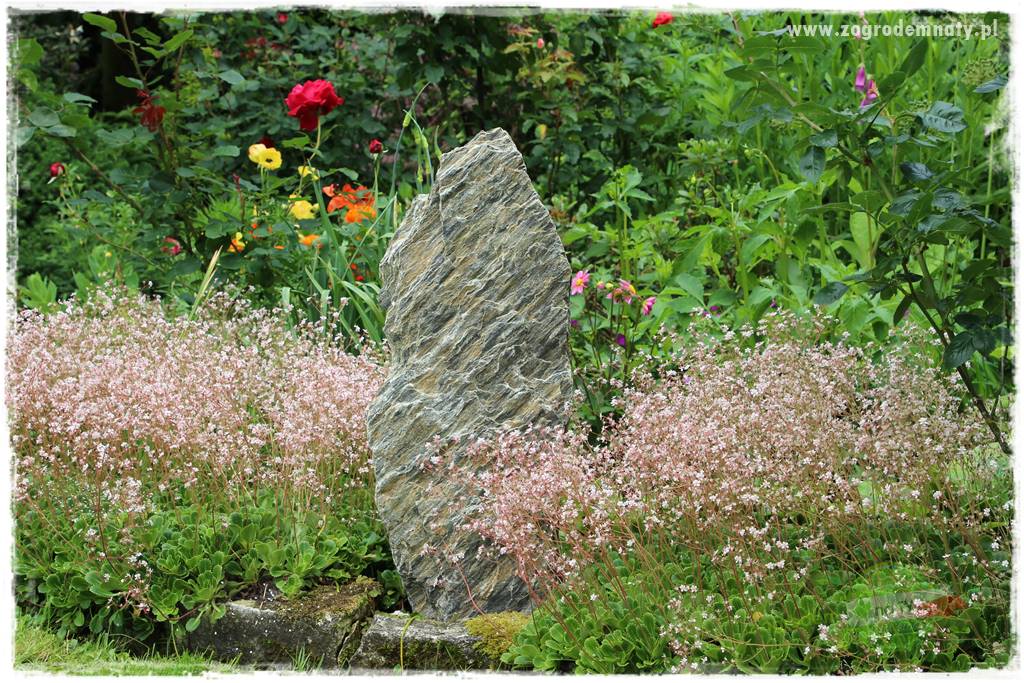 Ogrodowe studio fotograficzne 106