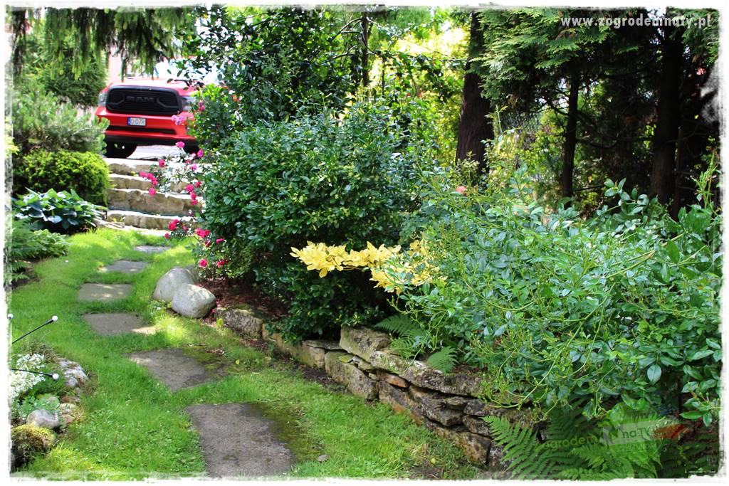 Ogrodowe studio fotograficzne 16