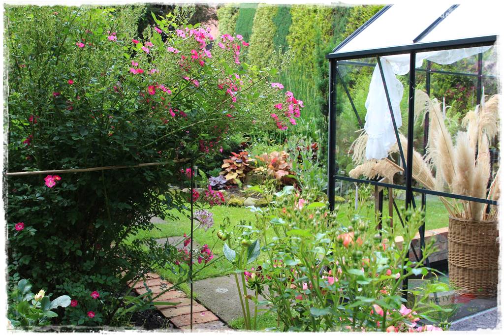 Ogrodowe studio fotograficzne 2