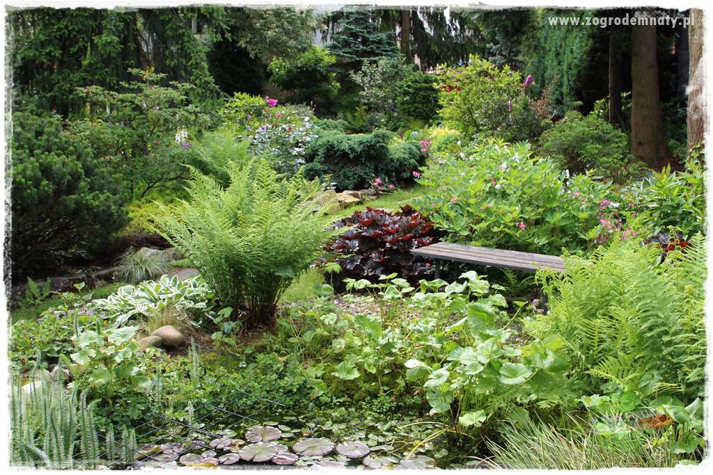 Ogrodowe studio fotograficzne 20