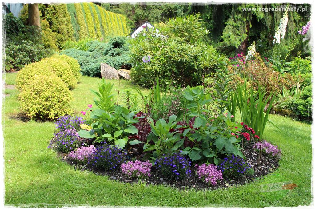 Ogrodowe studio fotograficzne 22