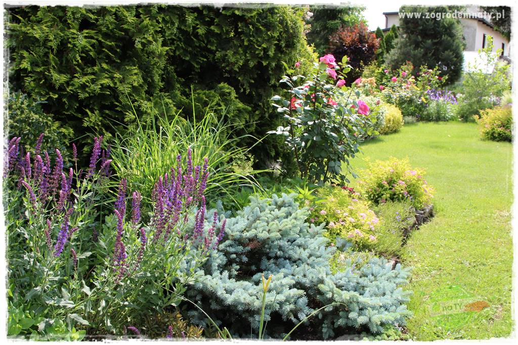 Ogrodowe studio fotograficzne 23