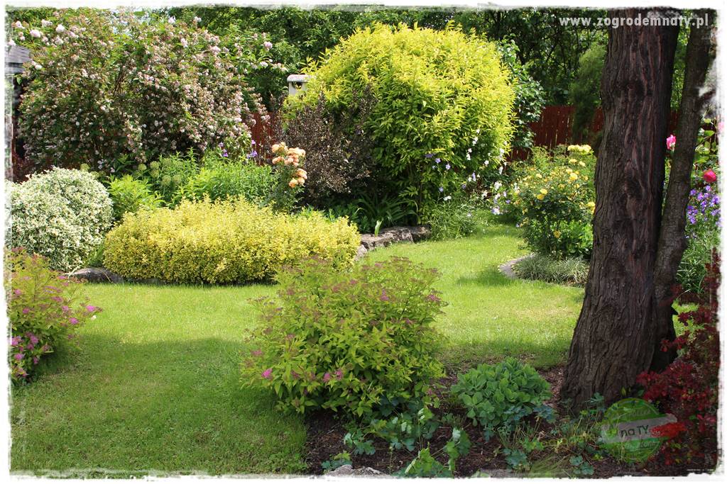 Ogrodowe studio fotograficzne 24