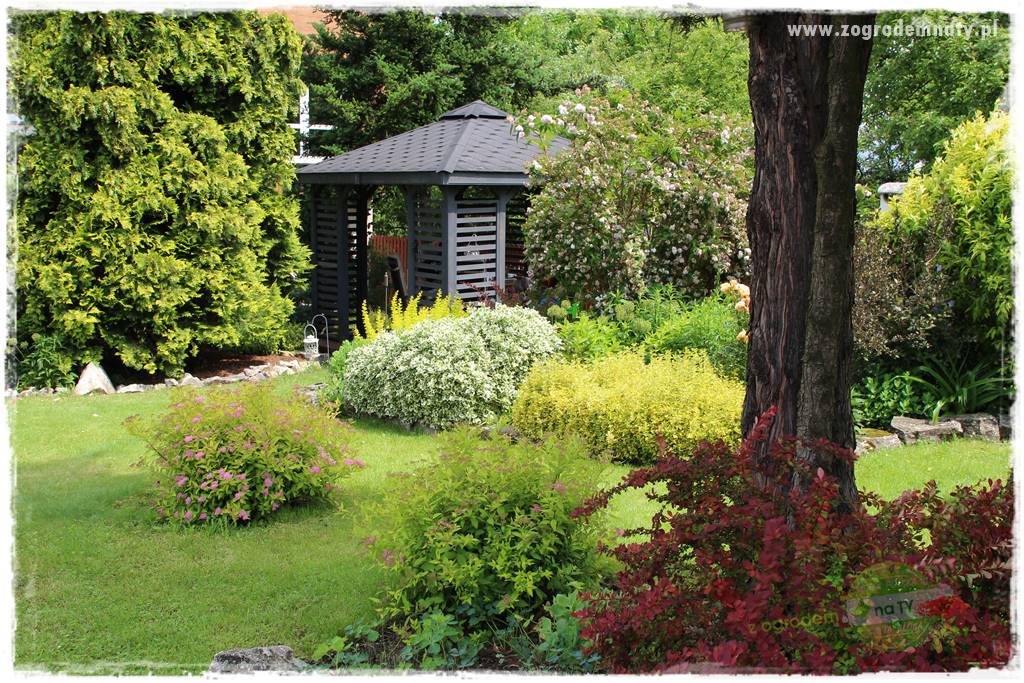 Ogrodowe studio fotograficzne 25