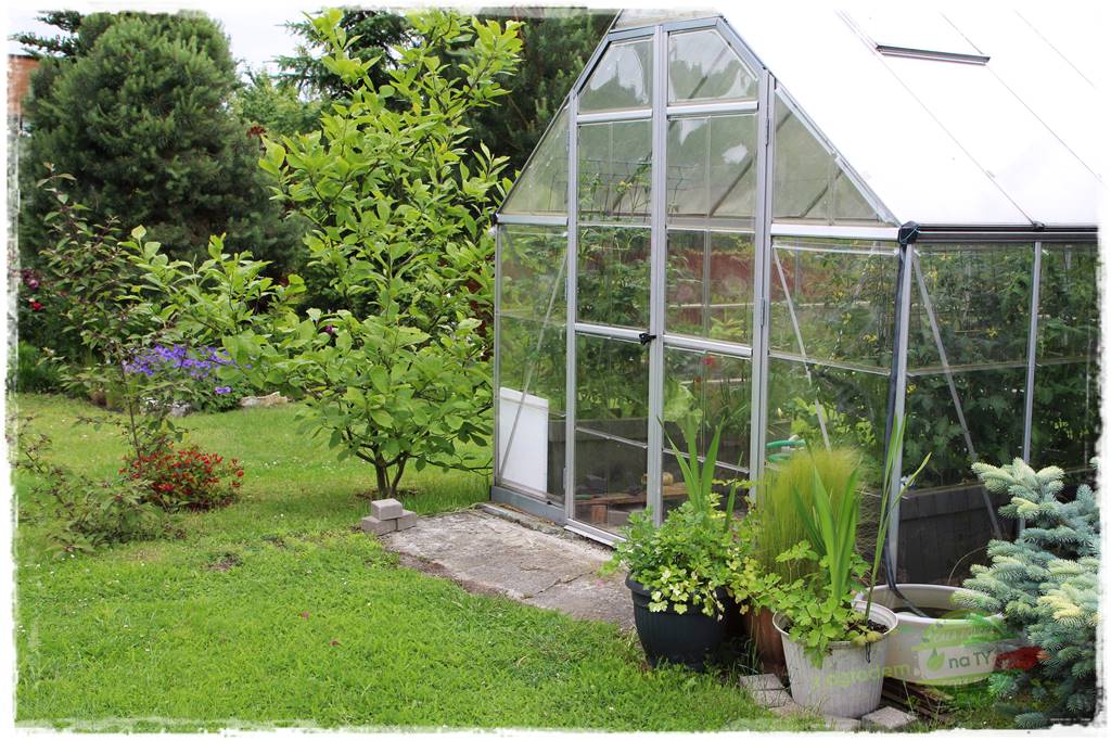 Ogrodowe studio fotograficzne 26