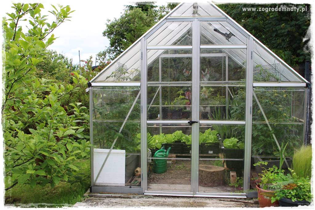 Ogrodowe studio fotograficzne 27