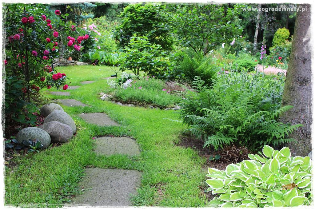 Ogrodowe studio fotograficzne 28