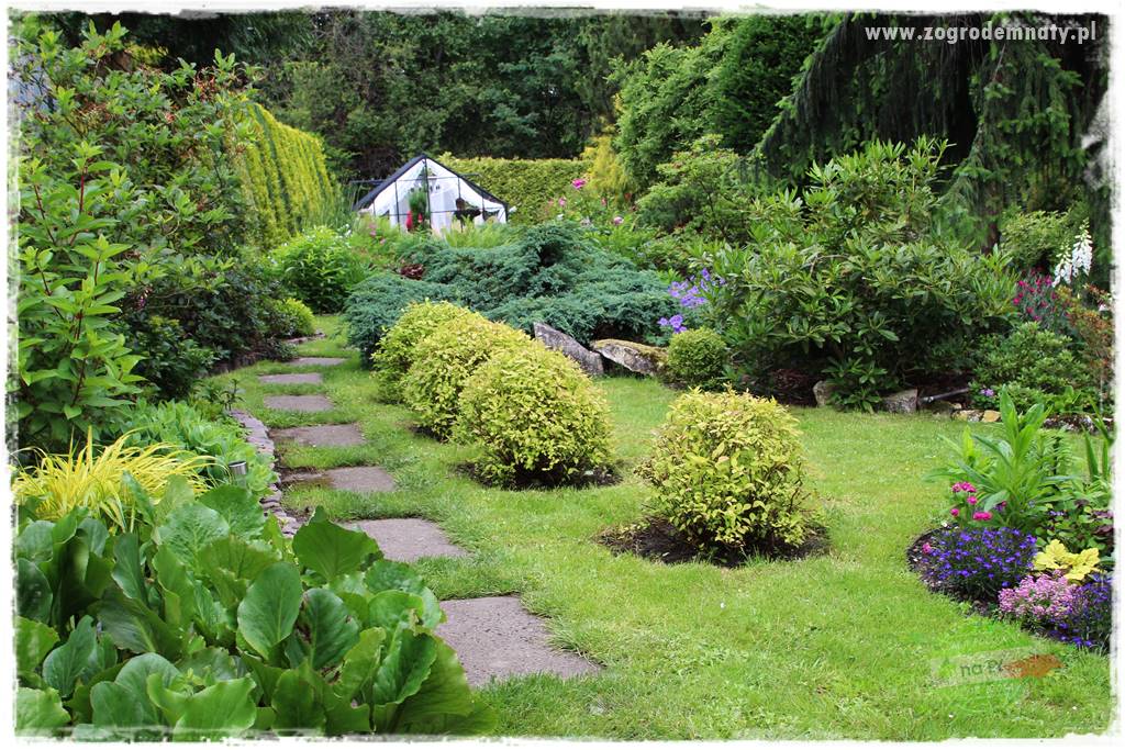 Ogrodowe studio fotograficzne 29