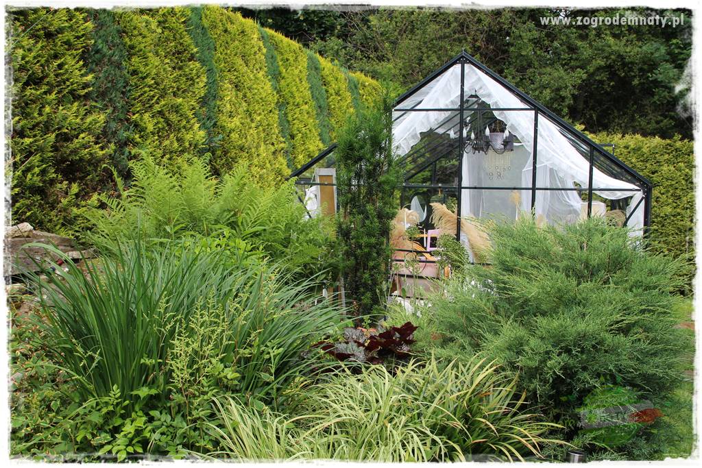 Ogrodowe studio fotograficzne 30