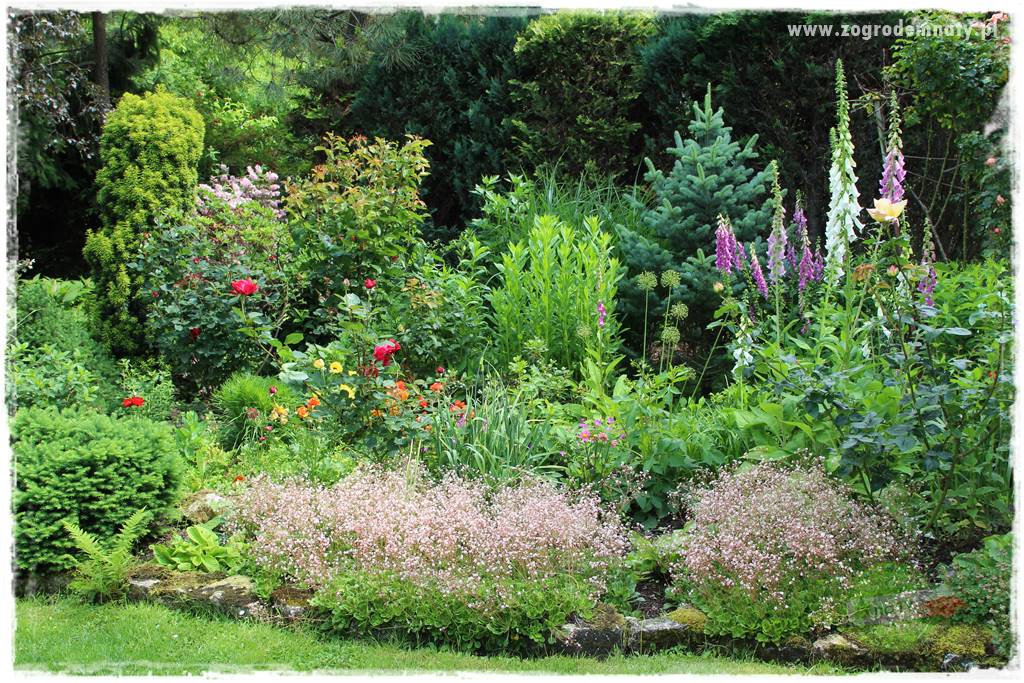 Ogrodowe studio fotograficzne 31