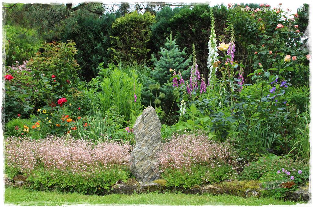 Ogrodowe studio fotograficzne 34