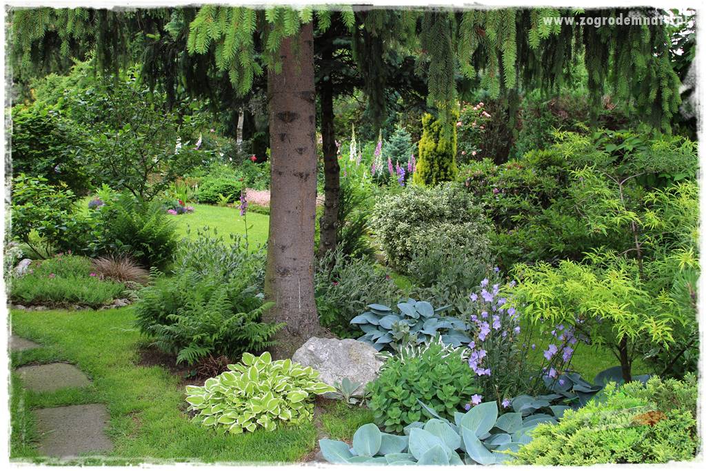 Ogrodowe studio fotograficzne 35