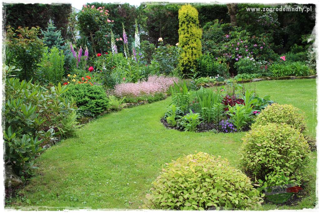 Ogrodowe studio fotograficzne 37