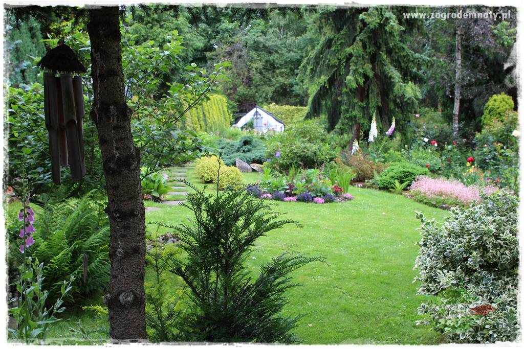 Ogrodowe studio fotograficzne 38