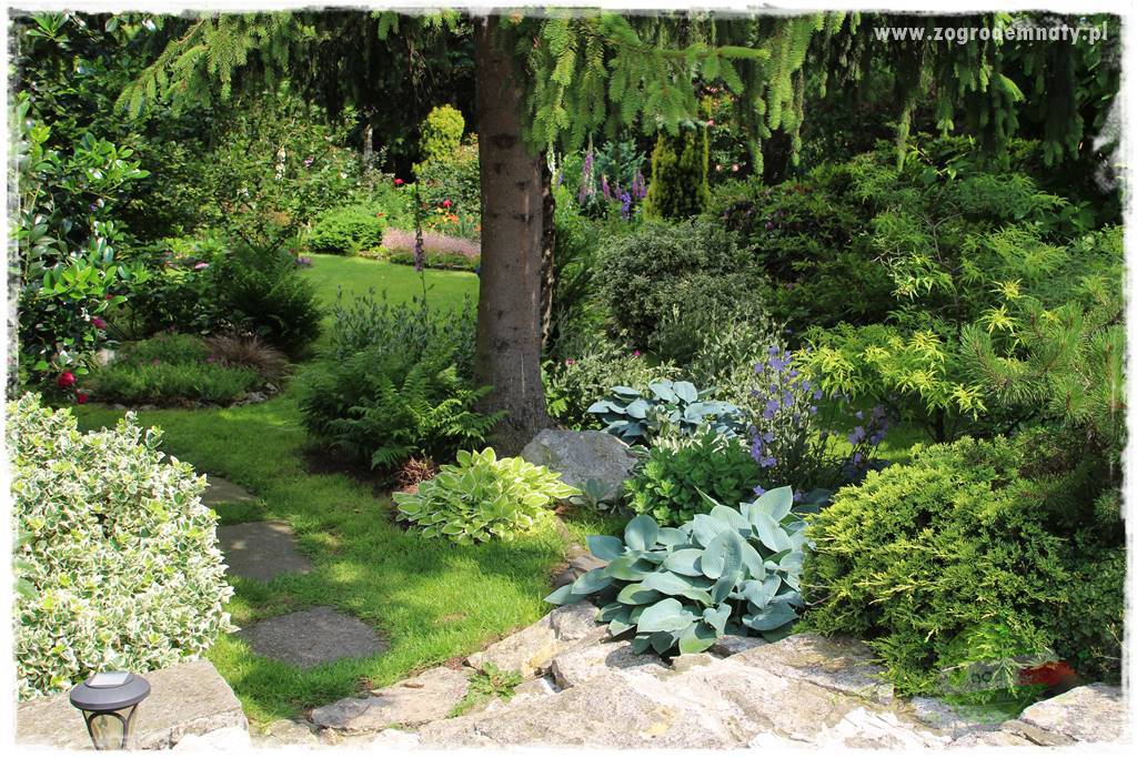 Ogrodowe studio fotograficzne 4