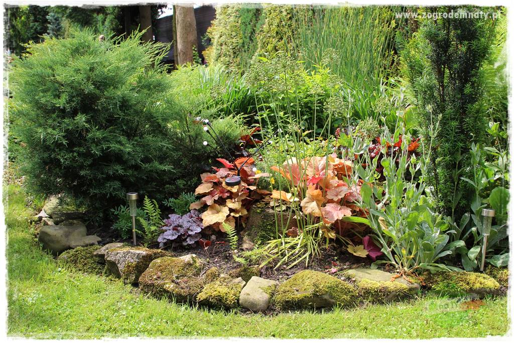 Ogrodowe studio fotograficzne 402