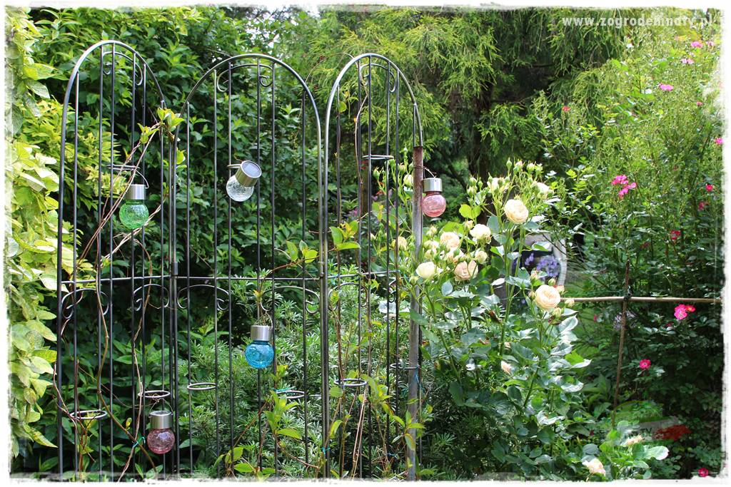 Ogrodowe studio fotograficzne 403